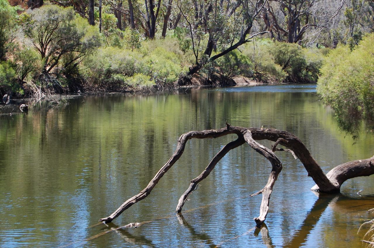 Beyonderup Falls Adult Retreat Nannup Pokoj fotografie
